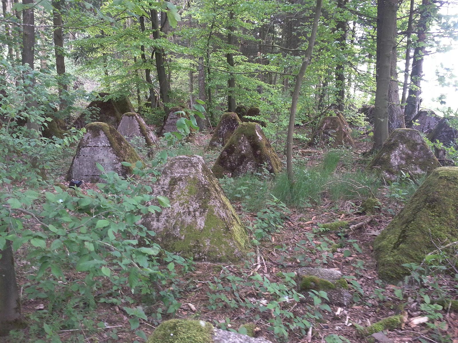 Das Profilbild der Smidt Kampfmittelsondierung zeigt im Wald vergrabene Kampfmittel.